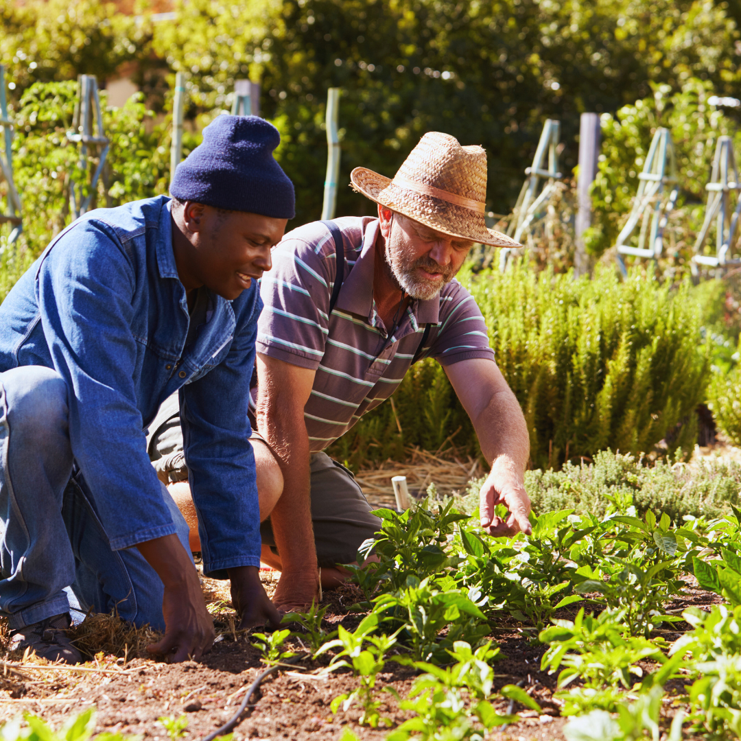 Budget Garden Makeover Ideas: Transform Your Outdoor Space Without Breaking the Bank